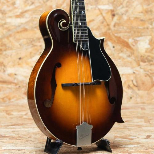 Quint QT-F5 Bird's eye Maple