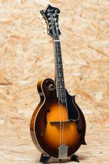 Quint QT-F5 Bird's eye Maple_3