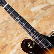Quint QT-F5 Bird's eye Maple_6