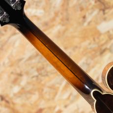 Quint QT-F5 Bird's eye Maple_7