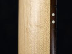 SCHECTER SD-2-24-AL/RIC R/JBS 2017_11