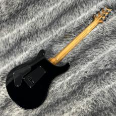 Paul Reed Smith [PRS] LTD SE Custom 24 Roasted Maple Blue Matteo_6