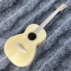 Ibanez PN29E Open Pore Natural_2