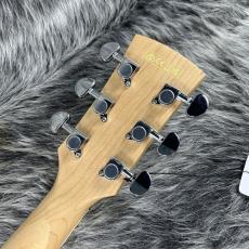 Ibanez PN29E Open Pore Natural_9