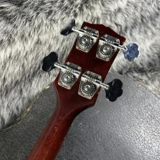 Gibson EB-2 Cherry MOD 1967_10