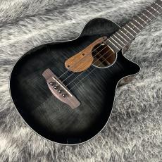 Ibanez AEGB25E-TKH
