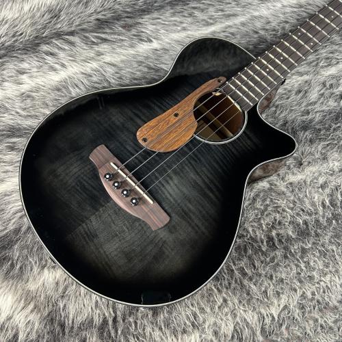 Ibanez AEGB25E-TKH