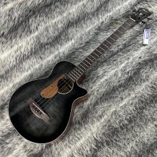 Ibanez AEGB25E-TKH_2