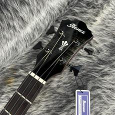 Ibanez AEGB25E-TKH_5