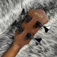 Ibanez AEGB25E-TKH_9