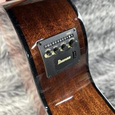 Ibanez AEGB25E-TKH_10