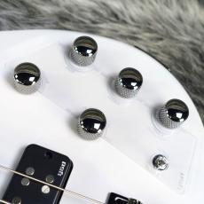 YAMAHA TRBX504 TWH_4