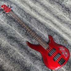 YAMAHA TRBX304 CAR_2