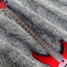 YAMAHA TRBX304 CAR_3