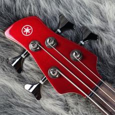 YAMAHA TRBX304 CAR_4