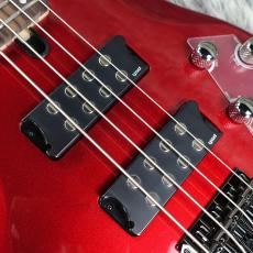 YAMAHA TRBX304 CAR_5