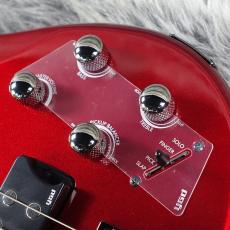 YAMAHA TRBX304 CAR_6