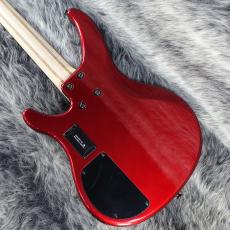 YAMAHA TRBX304 CAR_7