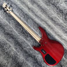 YAMAHA TRBX304 CAR_8