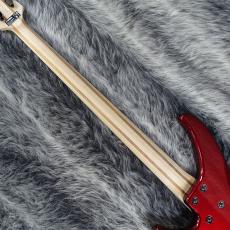 YAMAHA TRBX304 CAR_9