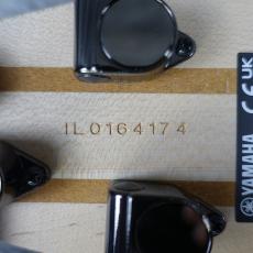 YAMAHA TRBX304 CAR_11