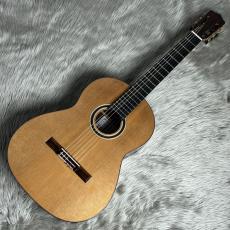 禰寝碧海 No.90 杉 / マダガスカルローズ【640mm】_2