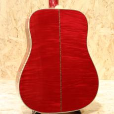 Gibson DOVE AN 2007_2