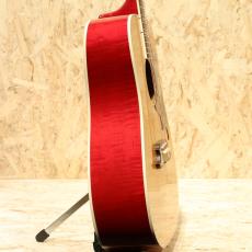 Gibson DOVE AN 2007_4