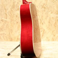 Gibson DOVE AN 2007_5