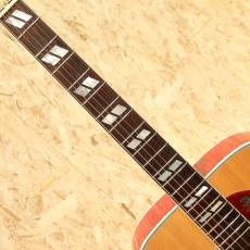 Gibson DOVE AN 2007_6