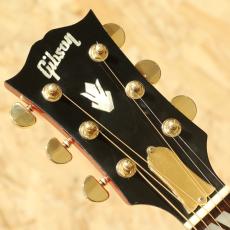 Gibson DOVE AN 2007_8