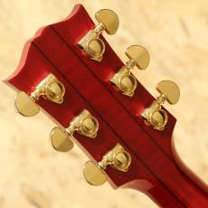 Gibson DOVE AN 2007_9