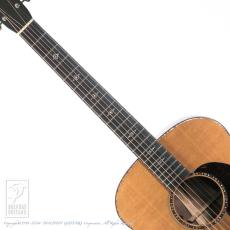 Martin CS-GP-14 _5