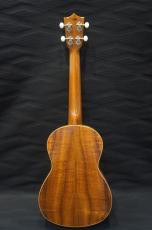 ASTURIAS Tenor Koa_8