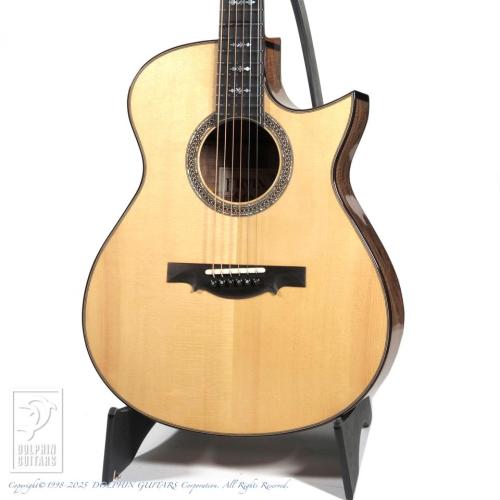 ERVIN V SOMOGYI OM Cutaway