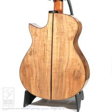 ERVIN V SOMOGYI OM Cutaway_4