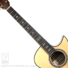 ERVIN V SOMOGYI OM Cutaway_5