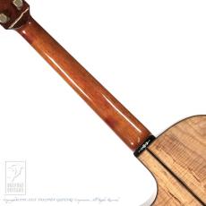 ERVIN V SOMOGYI OM Cutaway_6