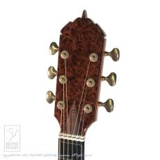 ERVIN V SOMOGYI OM Cutaway_7