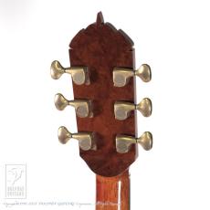 ERVIN V SOMOGYI OM Cutaway_8