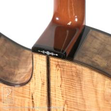 ERVIN V SOMOGYI OM Cutaway_12