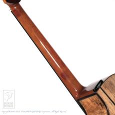 ERVIN V SOMOGYI OM Cutaway_13