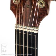 ERVIN V SOMOGYI OM Cutaway_14