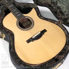 ERVIN V SOMOGYI OM Cutaway_15