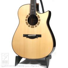 ERVIN V SOMOGYI Modified D Cutaway