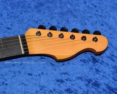 Westville Westel Semi-Hollow (SPR-HM / AL3)_5