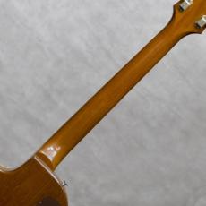 Gibson Les Paul Standard Gold Top / 1969_8
