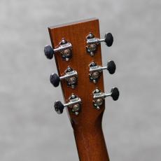 Collings D1HA Adirondack Spruce_10