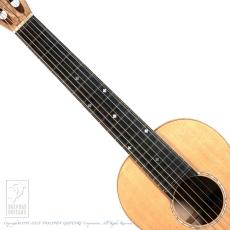 TODA Guitars M-5 (Birds Eyes Maple)_5