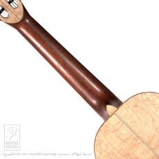 TODA Guitars M-5 (Birds Eyes Maple)_6